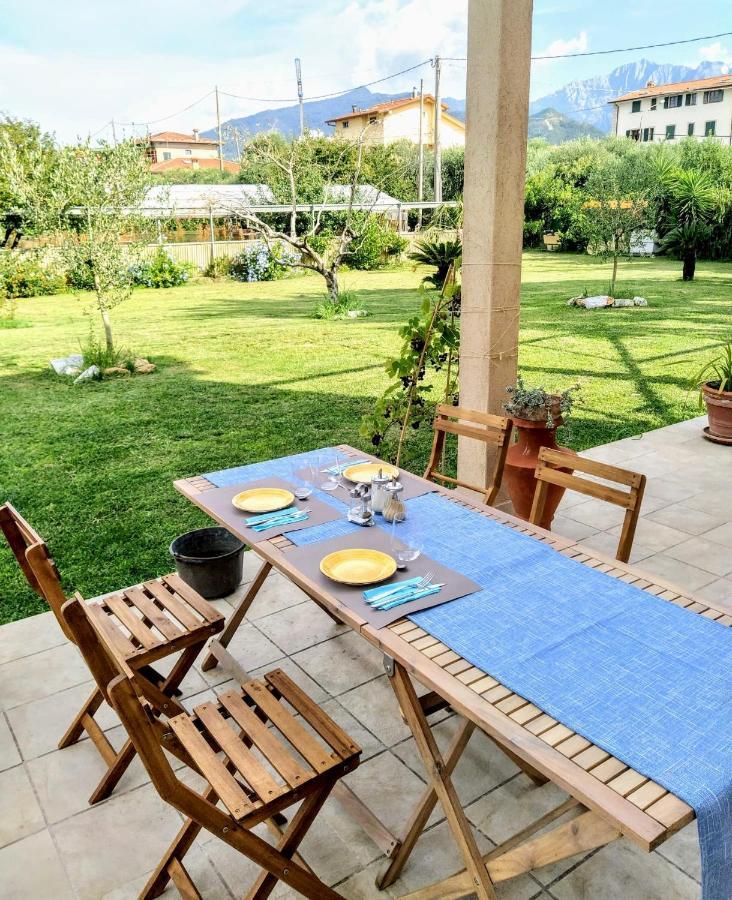 Agriturismo La Vite Maritata Pietrasanta Exterior photo