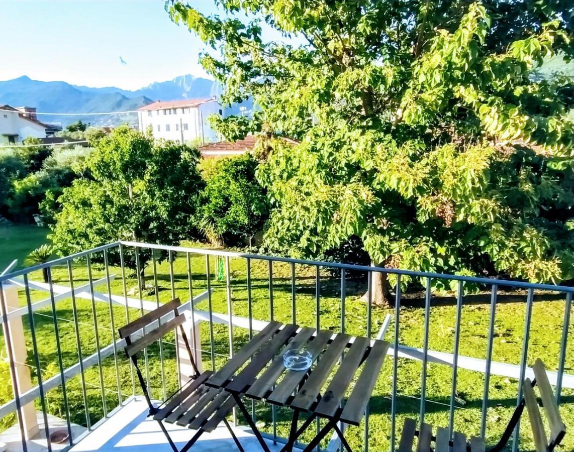 Agriturismo La Vite Maritata Pietrasanta Exterior photo